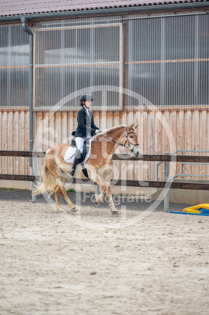 DSC_4653 | sattelsport - Realisiert mit Pictrs.com