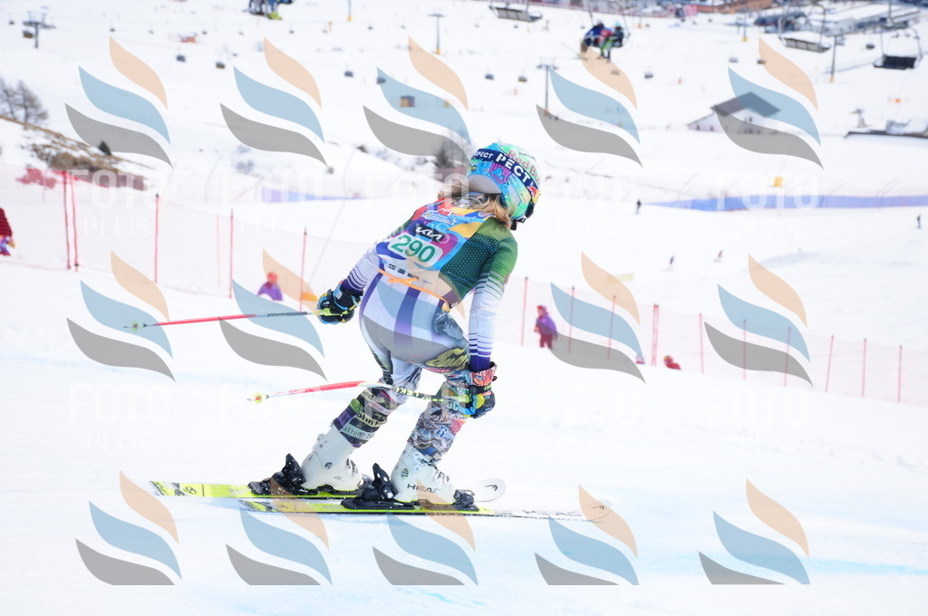 DSC_2800 | holidayphoto