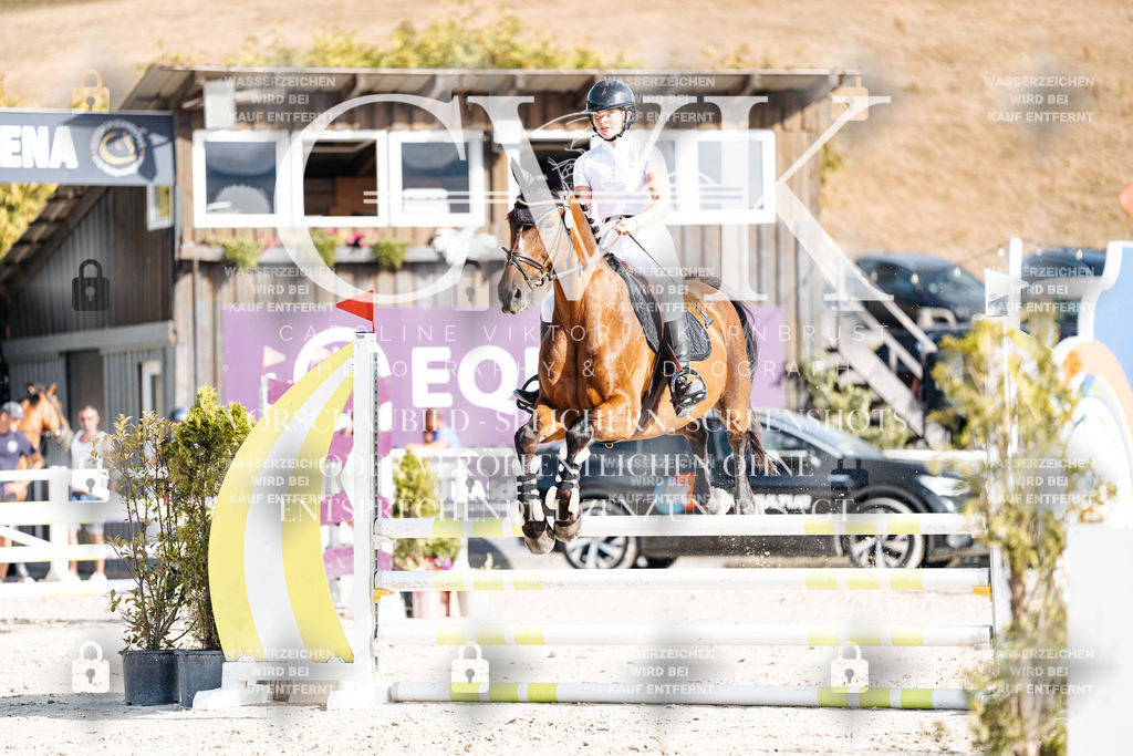 CK909451 | Turnierfotografie Pferdefotografie Trier Rheinland-Pfalz Pferdesport Reitsport Tierfotografie Sportfotografie Pferdevideo Pferdevideografie Equestrianvideography equestrianphotography  - Realisiert mit Pictrs.com