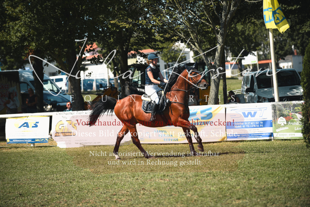 DSC_7049 | Pferde- und Turnierfotografie in Westsachsen. Pferdeportraits, Auftragszeichnungen und intuitive Kunst.