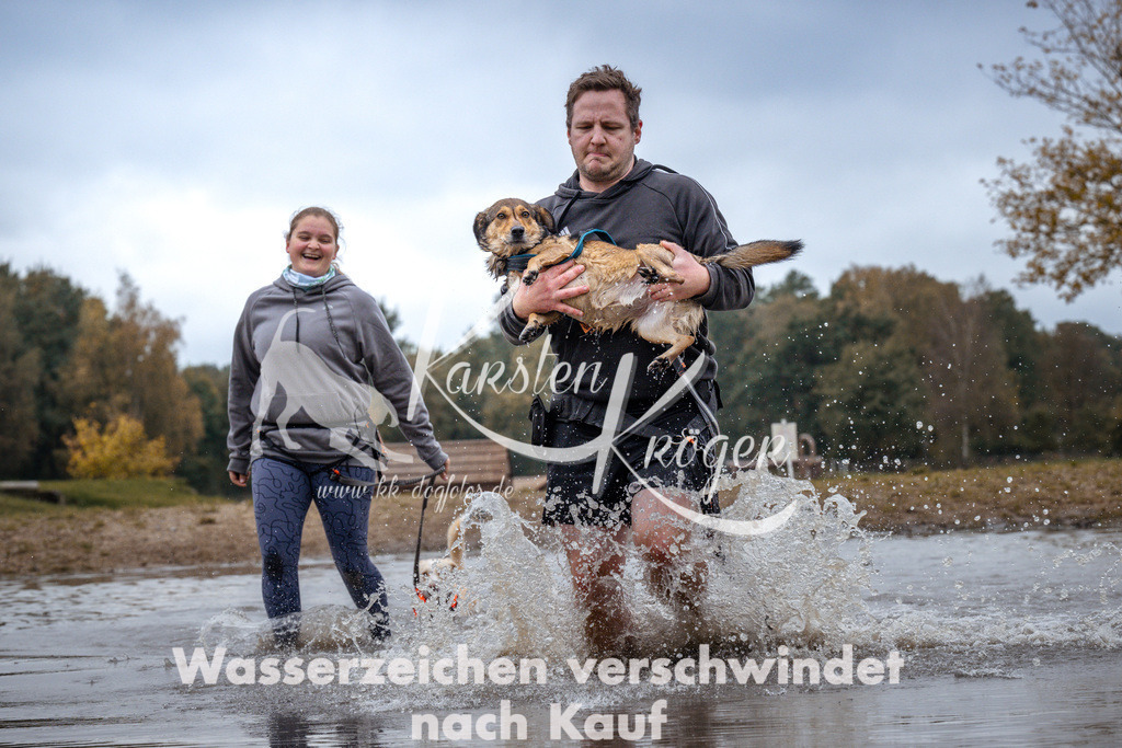 1414_ZZ96444 | kk-dogfotos