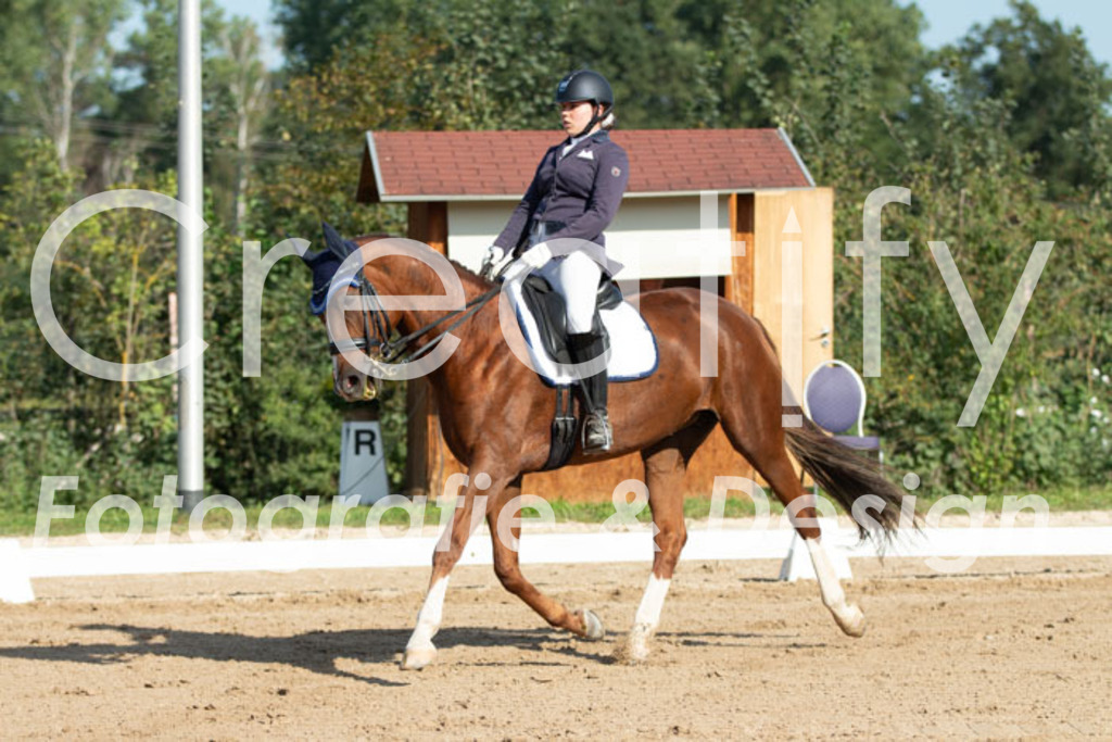 IMG_0555 | Creatify Fotografie