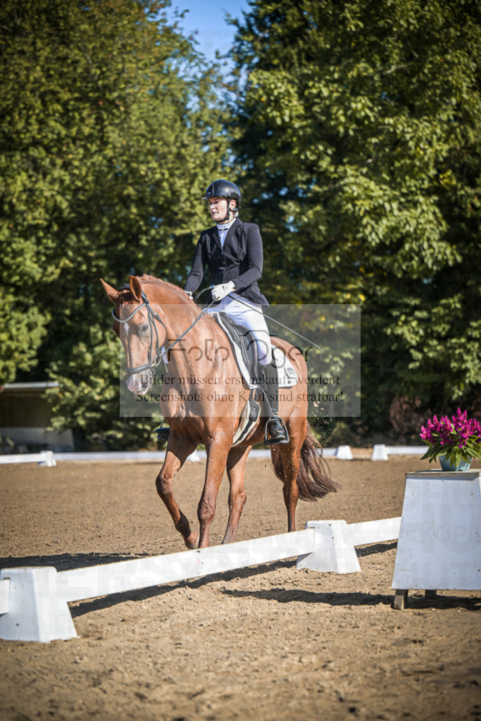 DOS_2042 | Entdecke hochwertige Reitturnierfotos von Foto Oger. Professionell, emotional und authentisch – jetzt Lieblingsmomente im Shop bestellen.Deutschlandweite Turnierfotografie. - Realisiert mit Pictrs.com