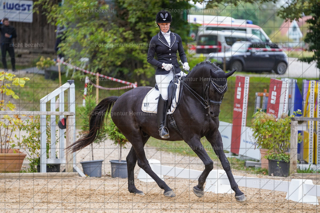 20231007-SN_00889 | Professionelle Turnier- und Reitsportfotografie - mit dem Finger am Auslöser. Pferdebilder aus dem Reitsport von den Turnierfotografen  Bayern , Pferdefotograf Bayern, Pferdeshooting Turnierbilder, Hochzeitsfotograf, Eventfotograf, Hochzeitsbilder