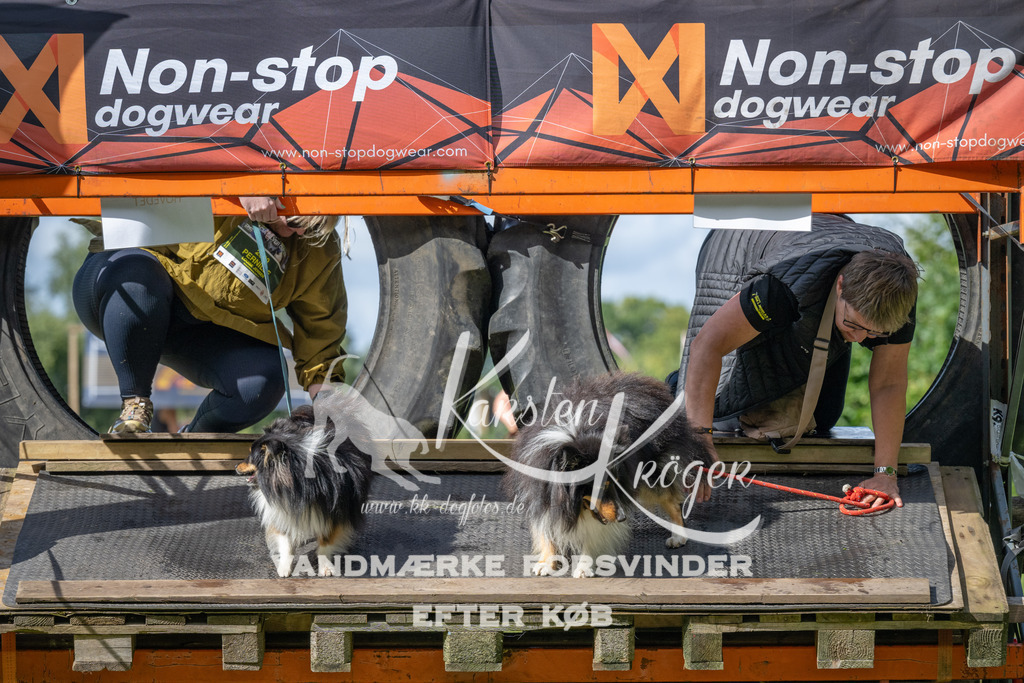 1549_ZZ94342 | kk-dogfotos