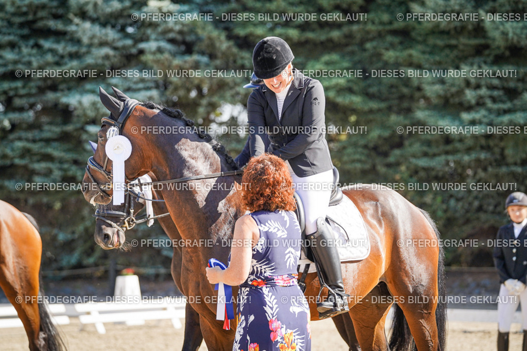 DSC00117 | Pferdegrafie