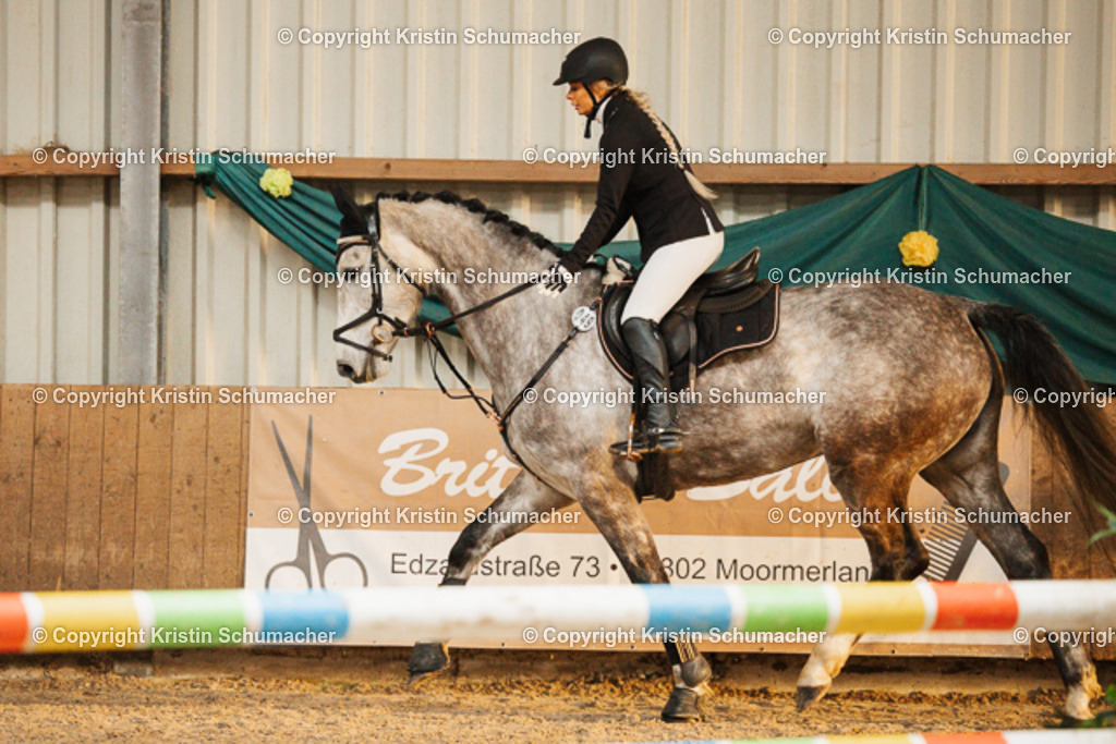 Springpferde A_-22 | Kristin Schumacher Photography