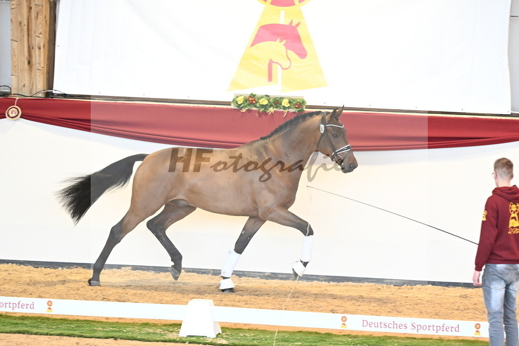 Kat.-Nr. 51 v. Freiherr von Stein_Graditz_2240605 | hf-fotografie - Realisiert mit Pictrs.com