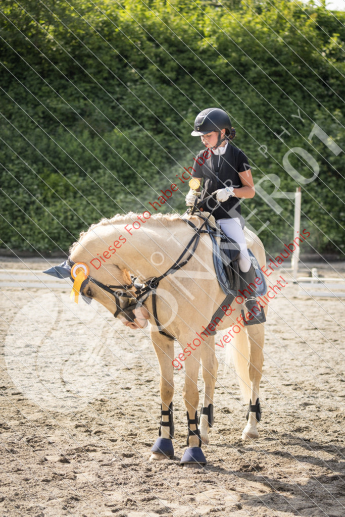 IMG_6054 | Sport-, Event- und Tierfotos in Profiqualität. Einfach auswählen, bestellen und herunterladen. Dein Moment – perfekt festgehalten.