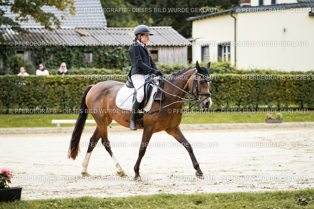 DSC04614 | Pferdegrafie