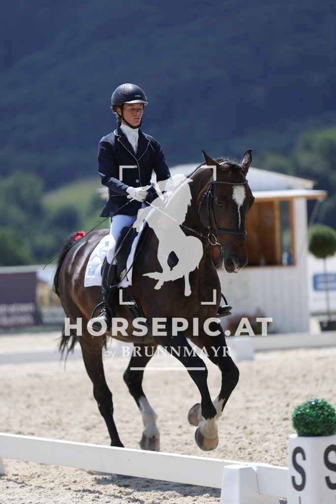 0P6A2081 | Willkommen bei Brunnmayr - Design & Fotografie – Ihrem Spezialisten für Reitturniere und Pferdeveranstaltungen in Oberösterreich, Salzburg und Bayern! Seit über 17 Jahren sind wir leidenschaftlich dabei.