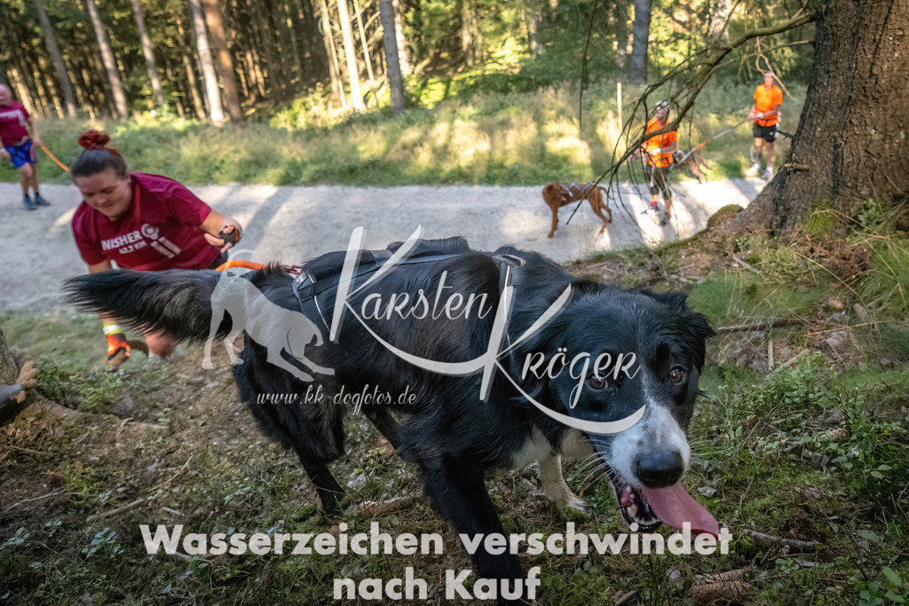 1056_ZZ93686 | kk-dogfotos