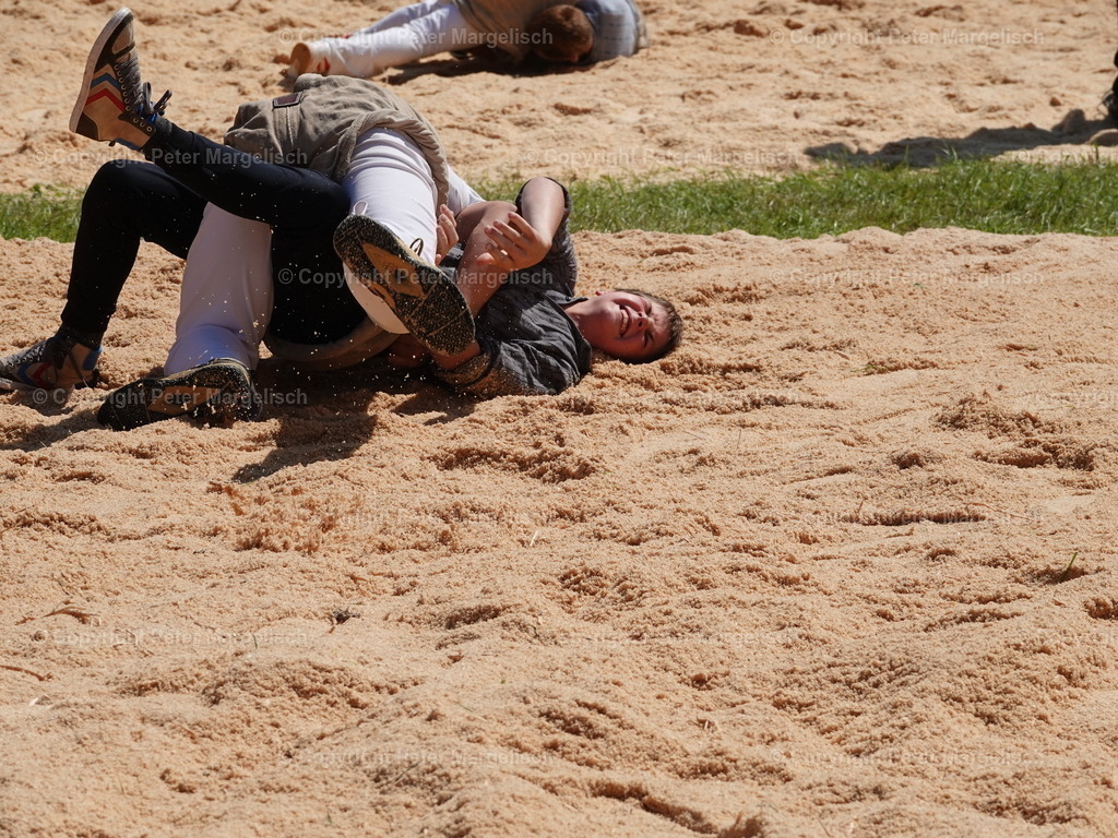 DSC04749 | Schwingen - Realisiert mit Pictrs.com