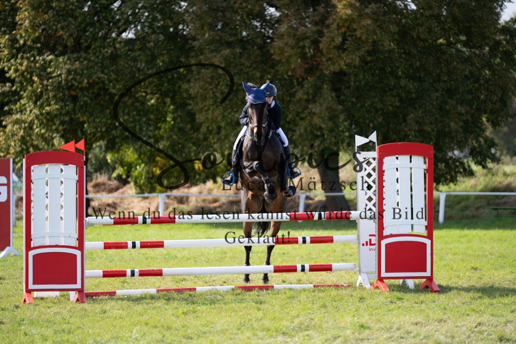 A7V06957 | Pferdefotograf