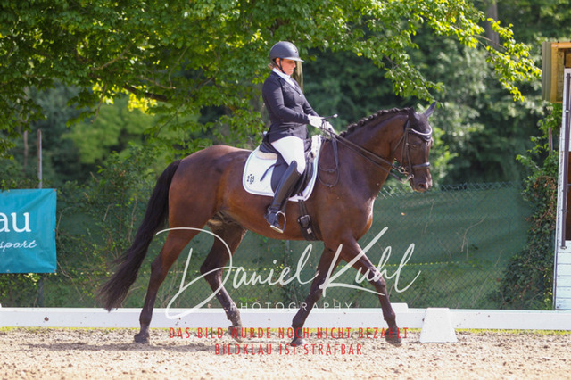 DKP41079 | Turniersportfotografie; Pferdefotografie; Dressurfotografie