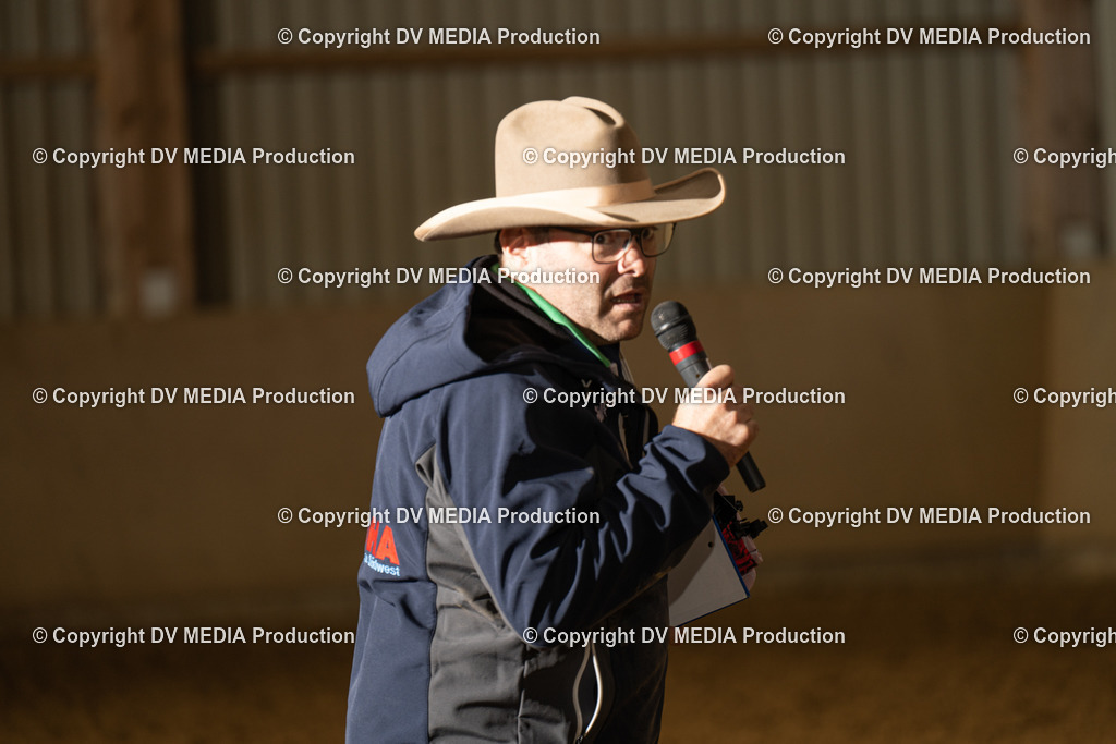 LAU01268 | dv-media-shop - Realisiert mit Pictrs.com