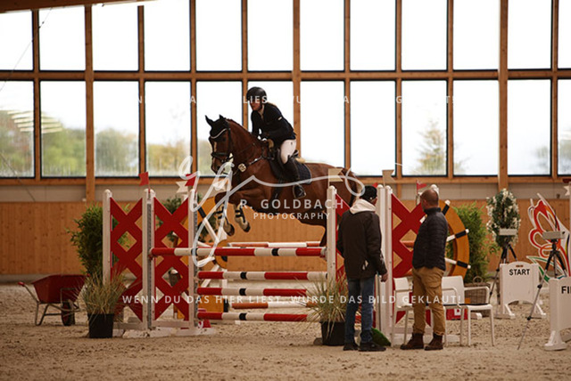 1J2A4358Francie Siegmund_ Heidi 682_ Kn277_ Hohen Wieschendorf_ Glantz | Foto- und Videografie für alles rund ums Pferd. Hochwertige Bilder und Videos vom Spring- und Dressurreiten, Voltigieren & mehr. Jetzt aktuelle Veranstaltungen und Preise im Shop ansehen. - Realisiert mit Pictrs.com