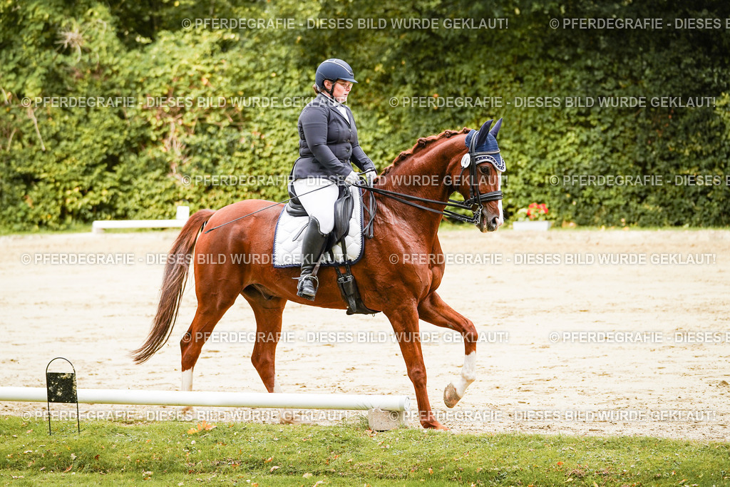 DSC03037 | Pferdegrafie