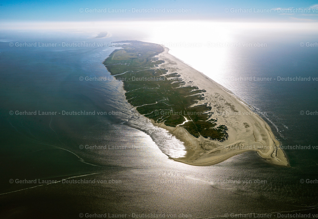 3091423 | Norderney Nationalpark Niedersächsisches Wattenmeer