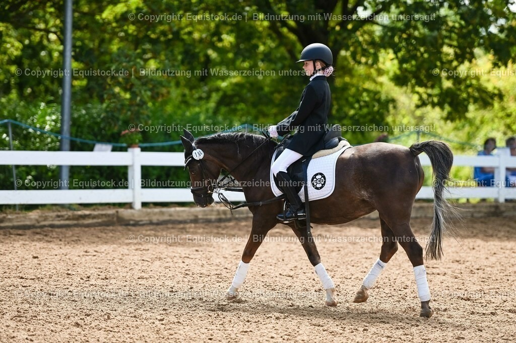 20230716_10-3_Reiter-WB Schritt - Trab - Galopp_0065 | equistock