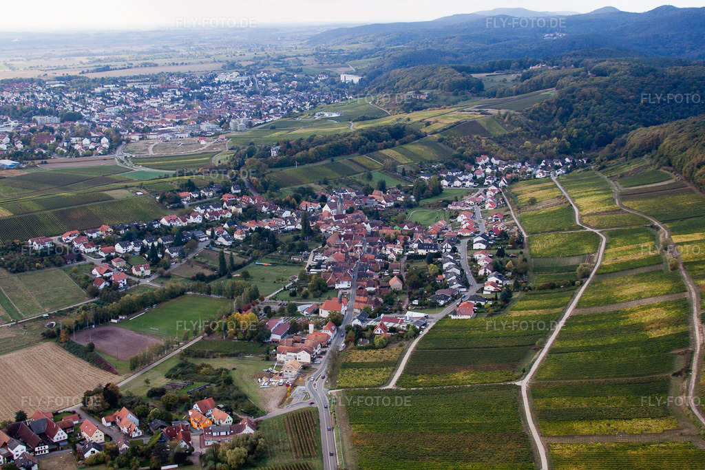 Luftbild: Am Schloßberg im Ortsteil Pleisweiler in Pleisweiler-Oberhofen im Bundesland Rheinland-Pfalz in Deutschland. Foto: IMG_22407.jpg vom 15.10.2009 durch Werner Riehm/FLY-FOTO.de