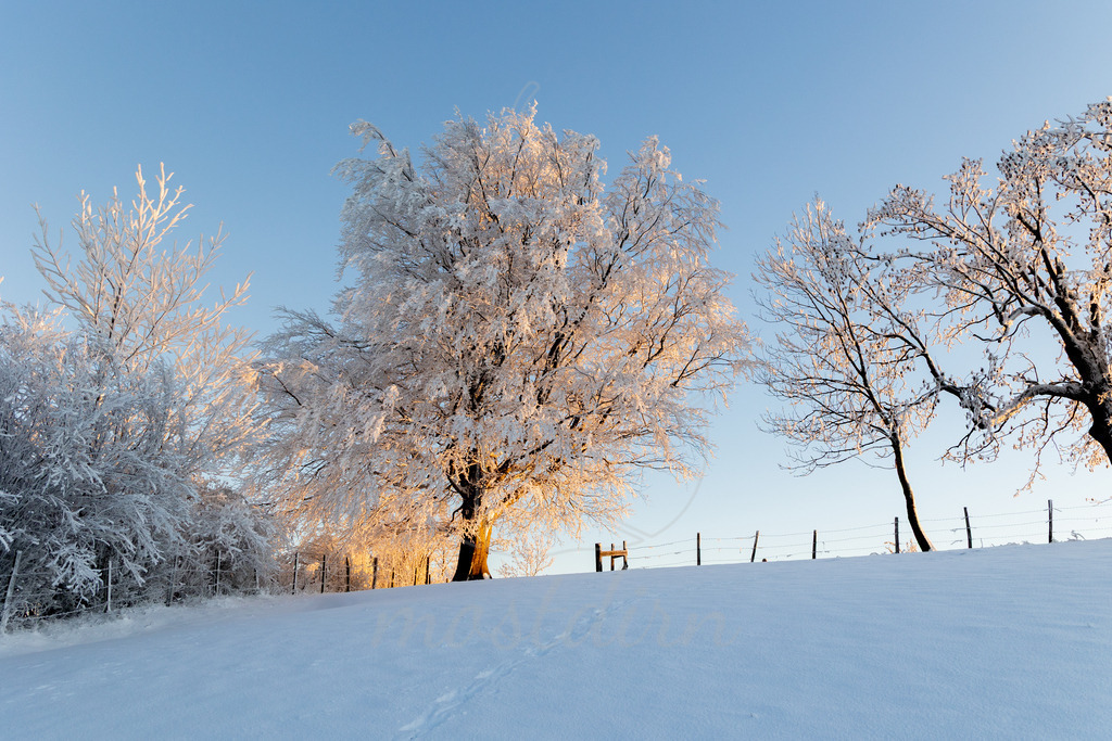 Winter am Hochkogelberg | Ihre Fotografin im Lungau, ihre Fotografin im Mostviertel, Wandbilder Onlineshop, Imagefotos für Ihr Unternehmen,  - Realisiert mit Pictrs.com