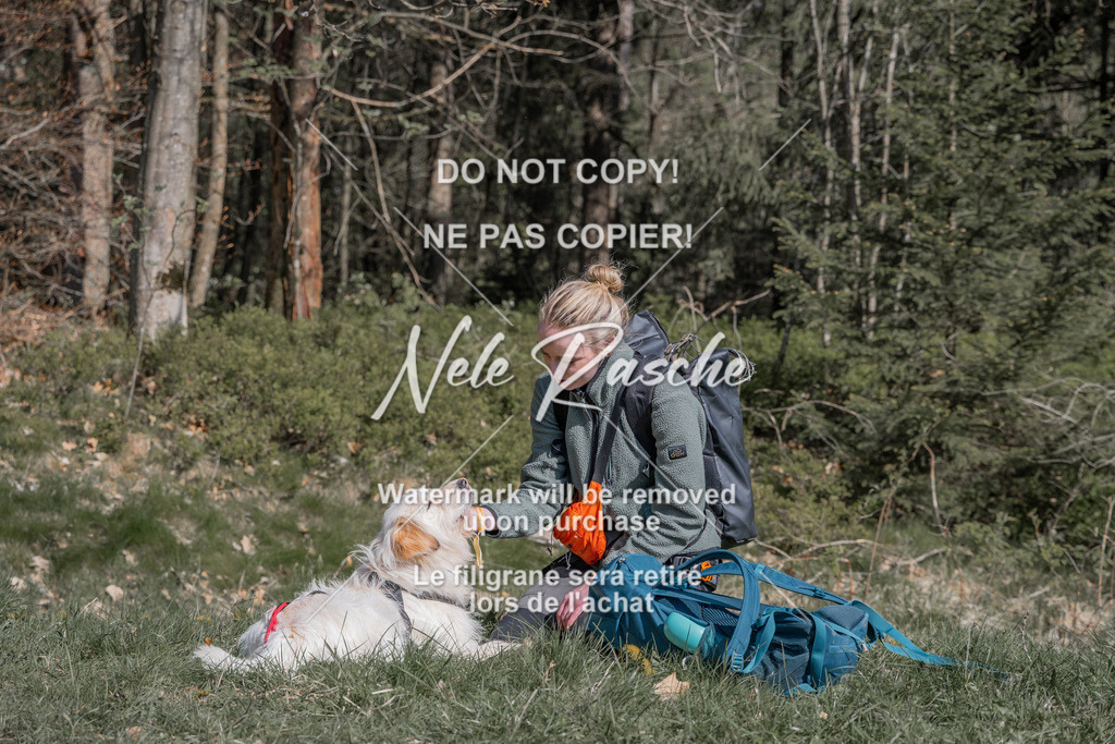 NR__0034 | nelerasche