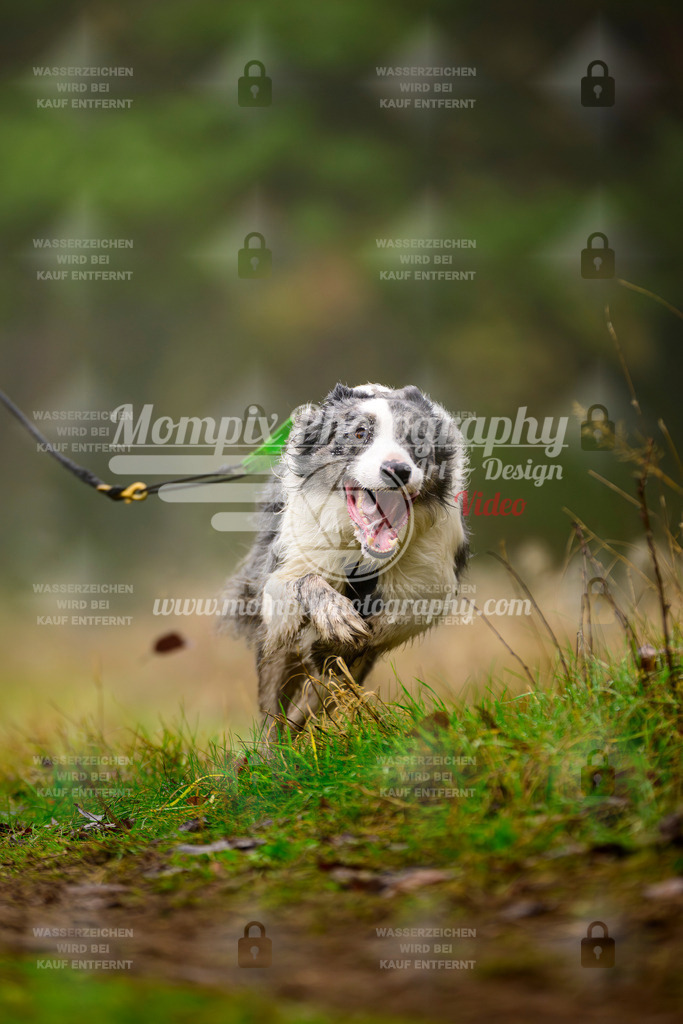 MompixPhotography_Bischwiller2025_Bike-66 | mompixphotography