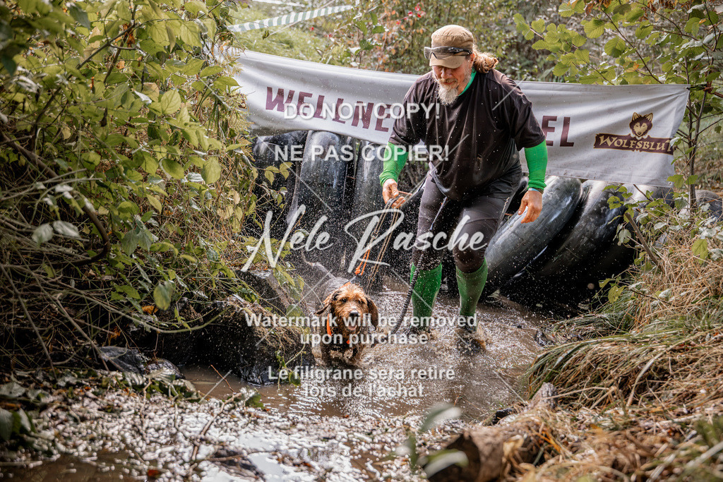 nelerasche_Hunsrück2026_Sa1400-1500_212 | nelerasche