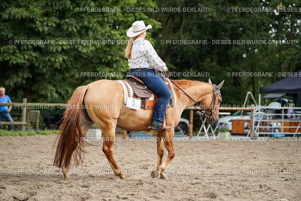 DSC03978 | Pferdegrafie