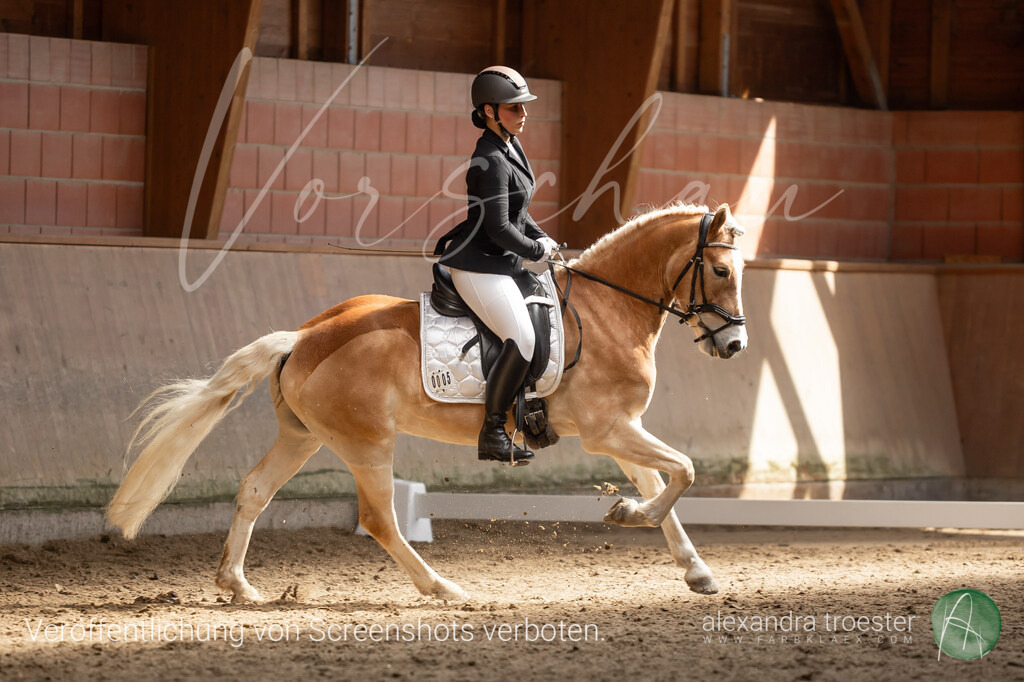 250405_Barop_11_271 | farbklaex.com