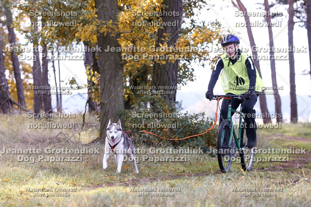 Dog Paparazzi - Elsholz 25 -153 | Dog Paparazzi Jeanette Grottendiek Fotografie & Videografie - Realisiert mit Pictrs.com