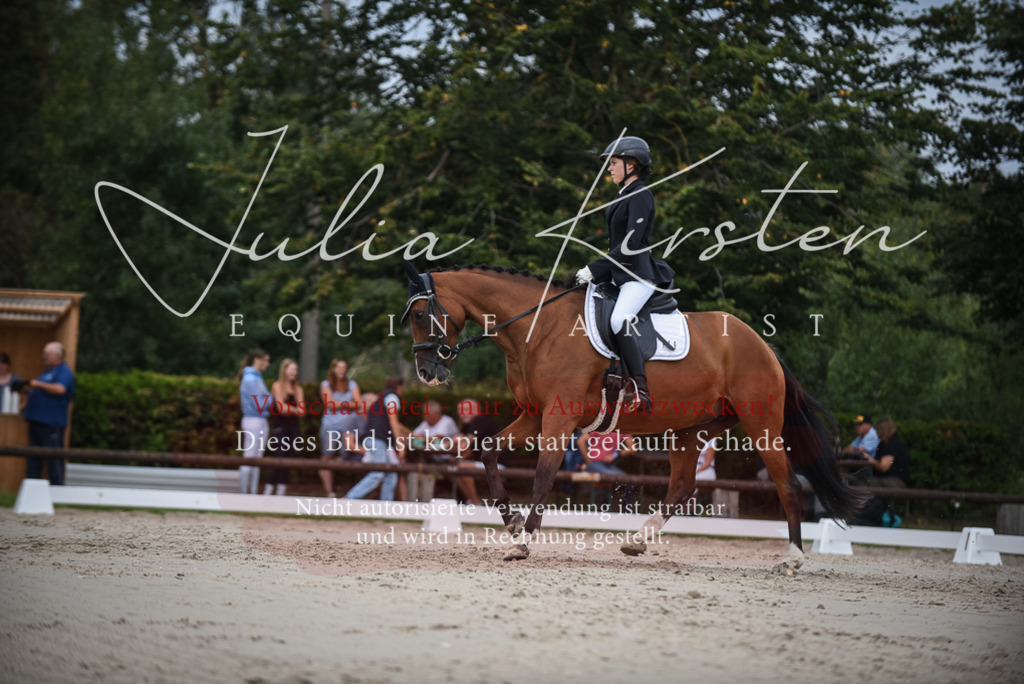 DSC_8415 | Pferde- und Turnierfotografie in Westsachsen. Pferdeportraits, Auftragszeichnungen und intuitive Kunst.