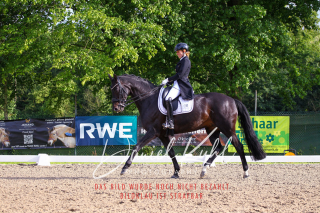 DKP41730 | Turnierfotos kaufen im Webshop von Daniel Kuhl Photography – entdecke professionelle Reitsportfotos aus Turnieren & Events. Hochwertige Turnierbilder online bestellen & sichern. Jetzt Fotos von Reitsportturnieren kaufen!