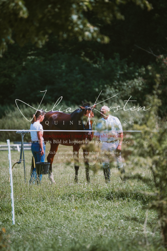 DSC_0582 | Pferde- und Turnierfotografie in Westsachsen. Pferdeportraits, Auftragszeichnungen und intuitive Kunst.