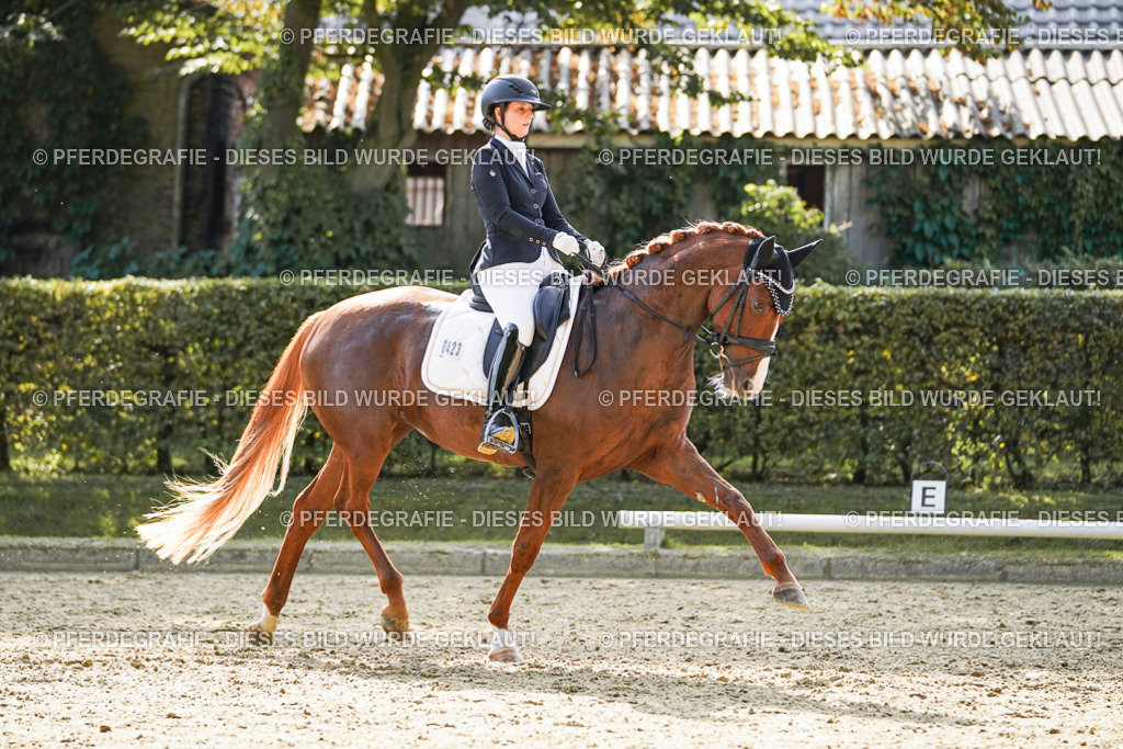 DSC07571 | Pferdegrafie