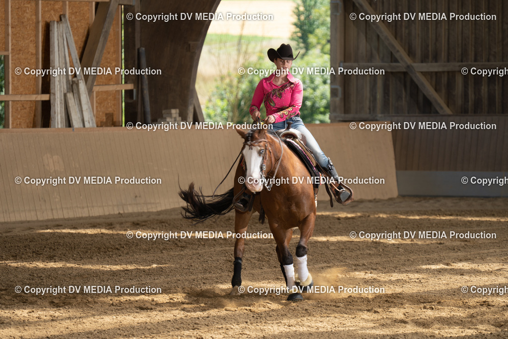 DSC00153 | dv-media-shop - Realisiert mit Pictrs.com