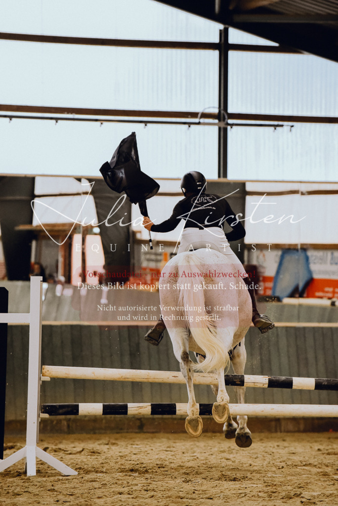 DSC_6986 | Pferde- und Turnierfotografie in Westsachsen. Pferdeportraits, Auftragszeichnungen und intuitive Kunst.