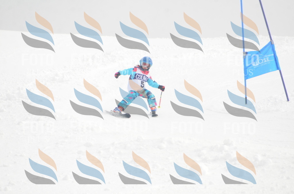 A5019 | holidayphoto