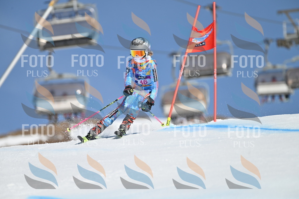 BGV_8455 | holidayphoto