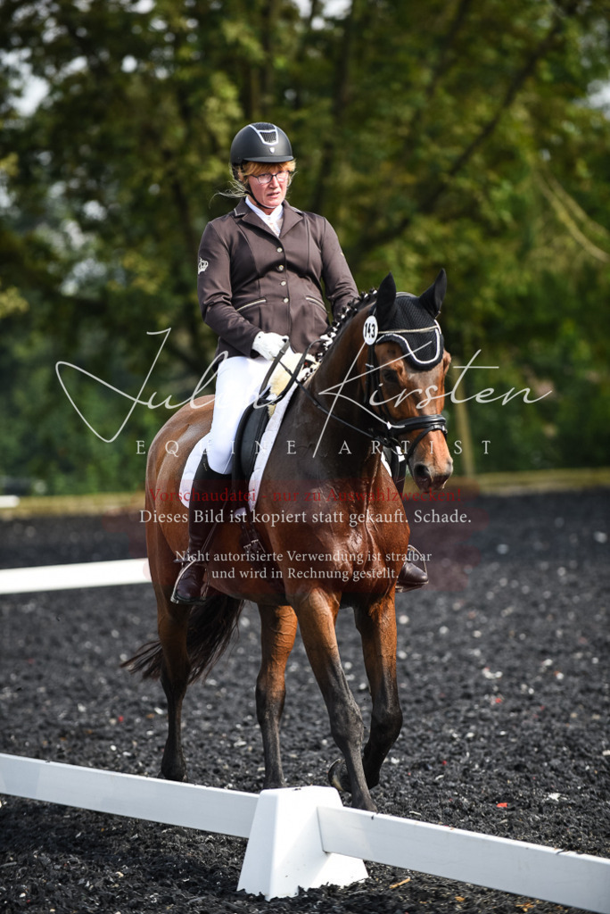 DSC_3081 | Pferde- und Turnierfotografie in Westsachsen. Pferdeportraits, Auftragszeichnungen und intuitive Kunst.