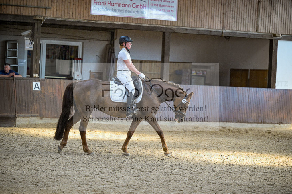 Reitturnier Voxtrup | Entdecke hochwertige Reitturnierfotos von Foto Oger. Professionell, emotional und authentisch – jetzt Lieblingsmomente im Shop bestellen.Deutschlandweite Turnierfotografie. - Realisiert mit Pictrs.com