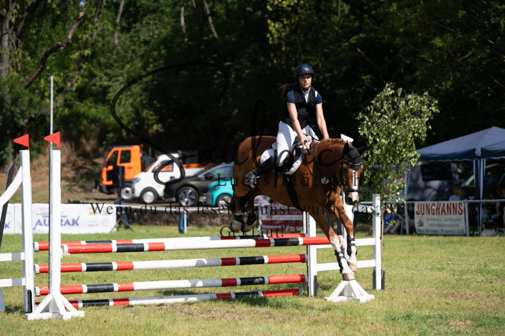 A7V05525 | Pferdefotograf