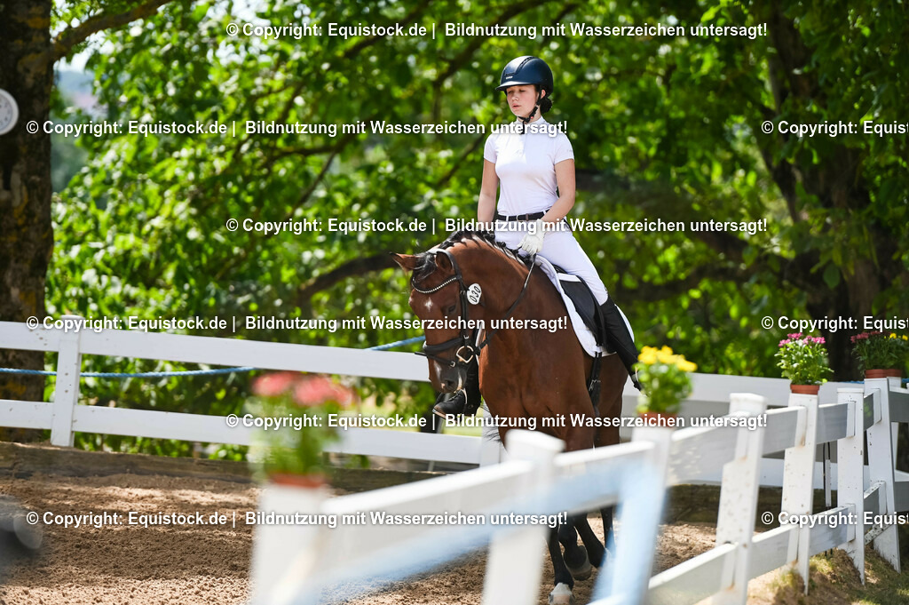 20230715_09_Dressur-WB_0123 | equistock