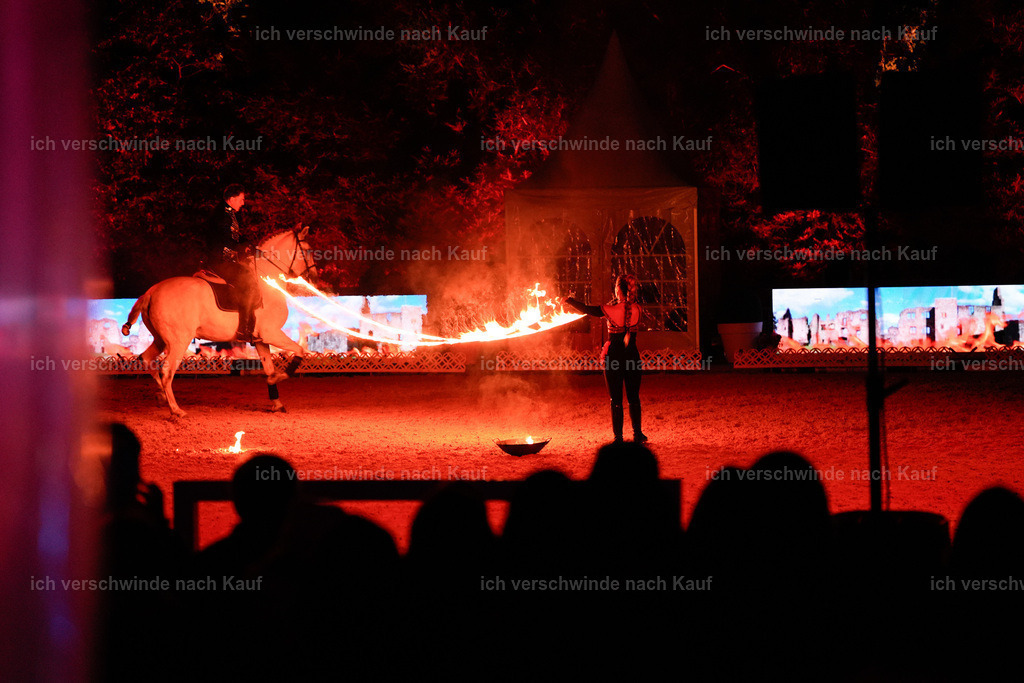 FHClassics-385 | working equitationturnier fotograf videograf stoibphotography marixx film working equitation deutschland reitsport turnierfotografie eventfotografie equestrian events