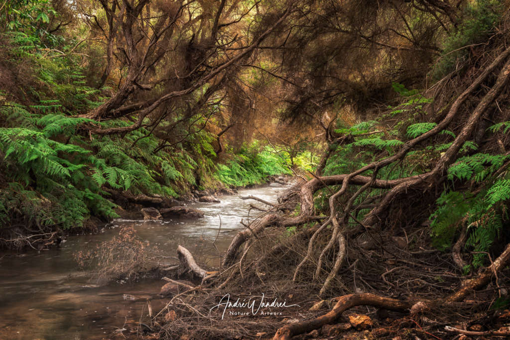 Quelle im Urwald | Andre Wandrei - Nature Artworx - Realisiert mit Pictrs.com