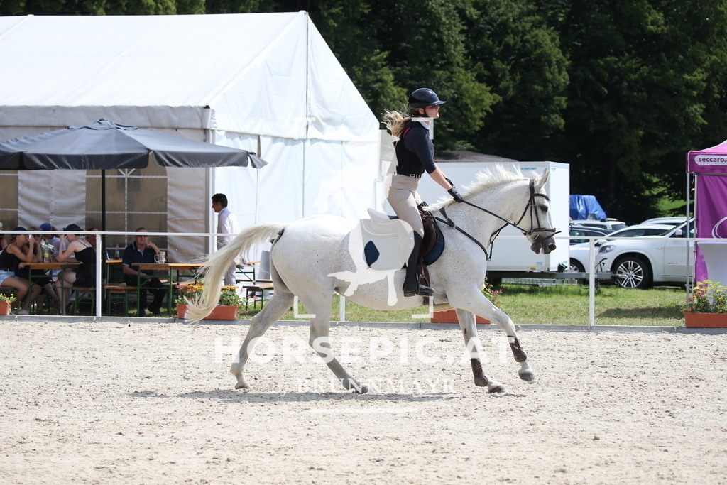 DL2Q1654 | Willkommen bei Brunnmayr - Design & Fotografie – Ihrem Spezialisten für Reitturniere und Pferdeveranstaltungen in Oberösterreich, Salzburg und Bayern! Seit über 17 Jahren sind wir leidenschaftlich dabei.