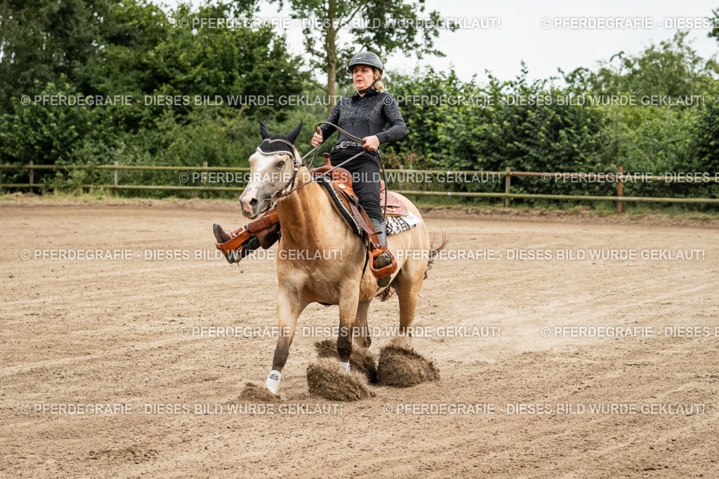 DSC04778 | Pferdegrafie