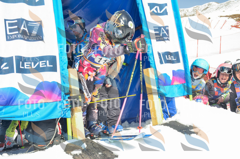 _ELE5928 | holidayphoto