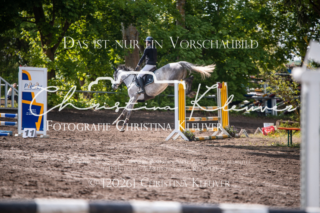 DSC_1089 | Christina-Kleuver